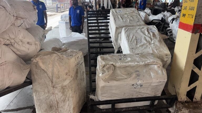 Forest officials seize 640 kg Wild Boar meat Pune at railway station