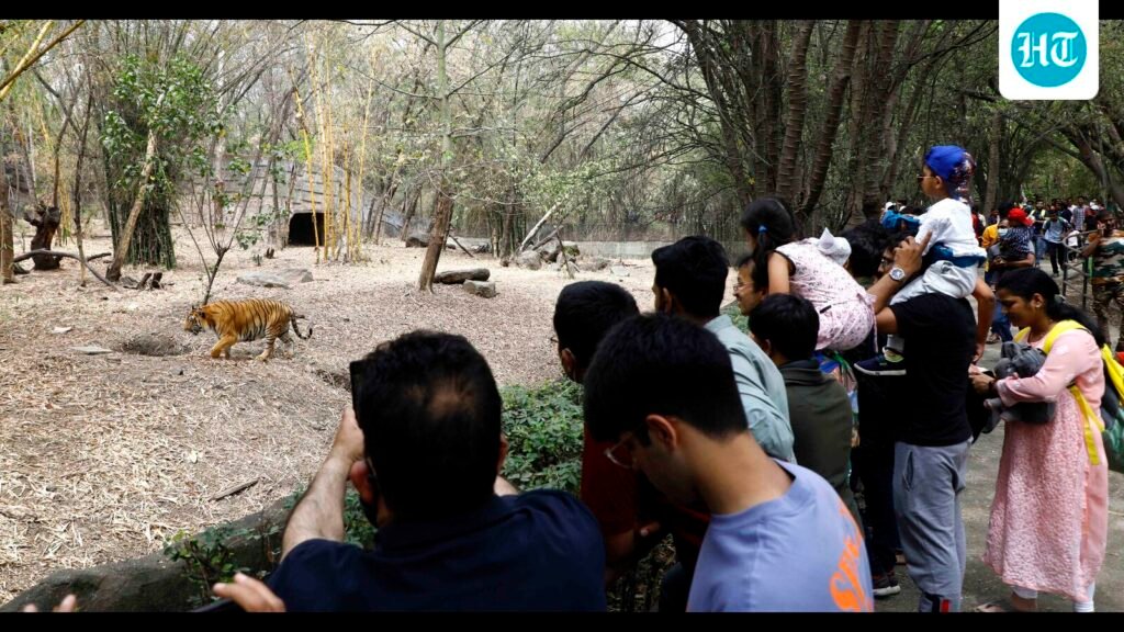 sandalwood-theft-attempt-thwarted-at-pune-zoo;-probe-on