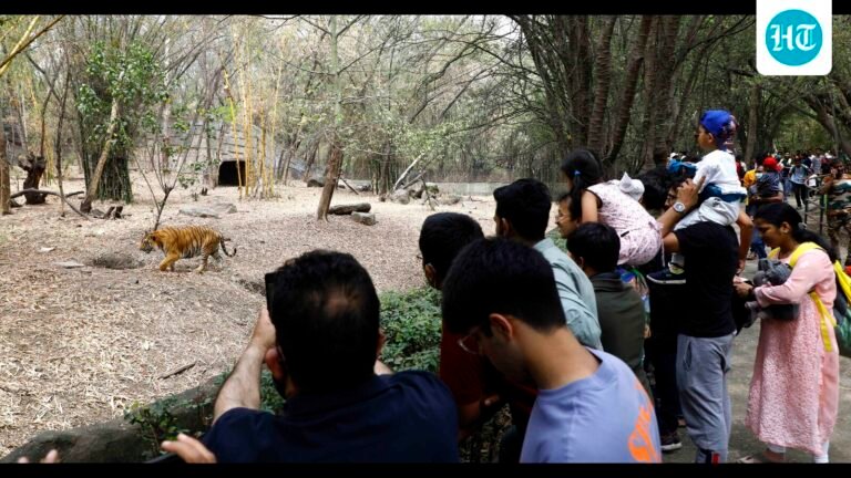 Sandalwood theft attempt thwarted at Pune Zoo; probe on