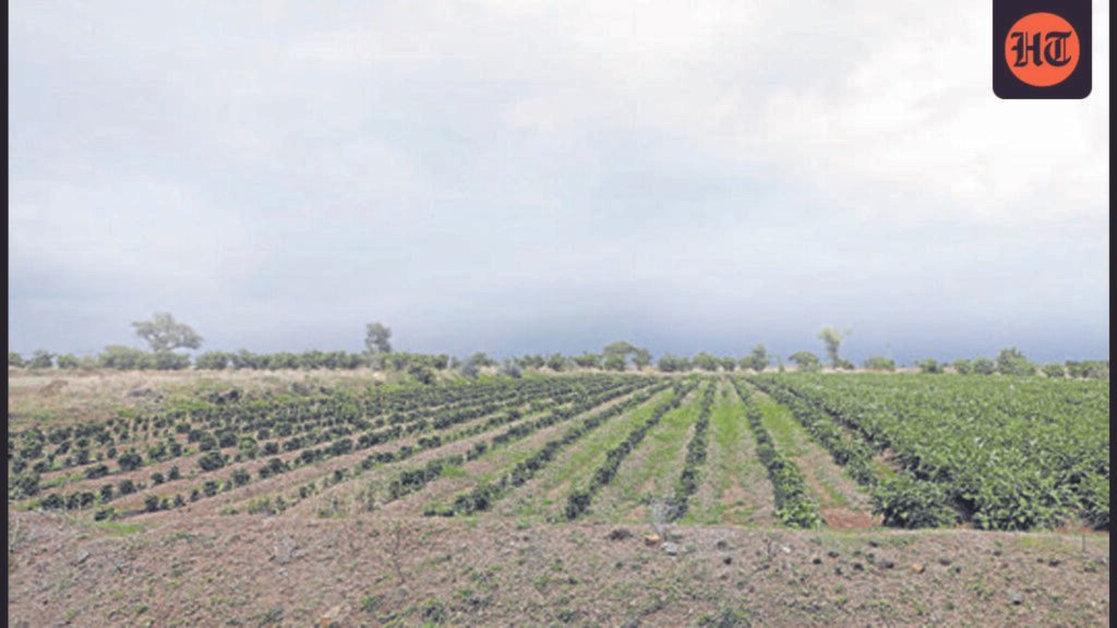 midc-seeks-forest-clearance-for-38.5-hectares-for-purandar-airport