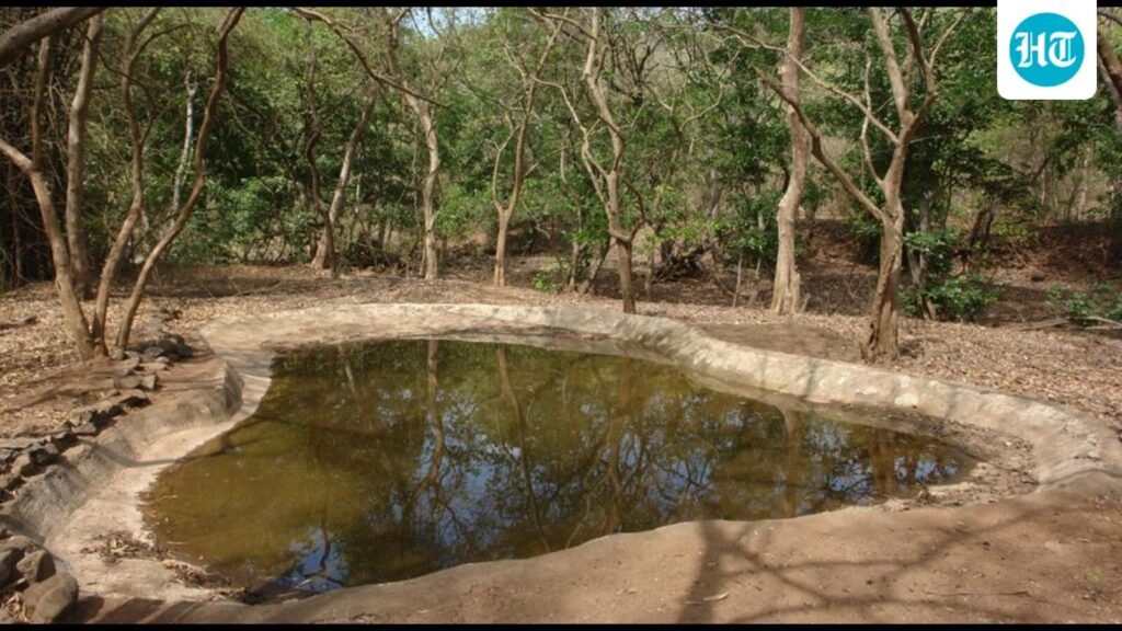 423-wild-animals-spotted-during-annual-waterhole-census