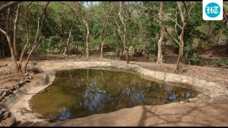 423 wild animals spotted during annual waterhole census