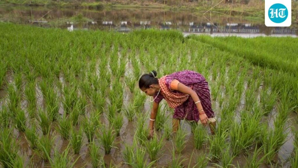 fertiliser-supply-under-strain-ahead-of-kharif-season