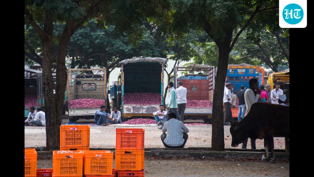significant-rise-in-wholesale-onion-prices-at-lasalgaon-amid-lower-arrivals,-stock-hoarding