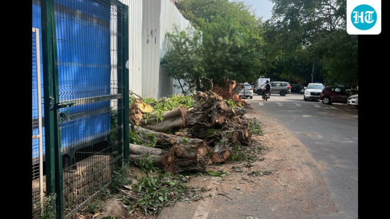 Proposed tree-felling triggers widespread public opposition