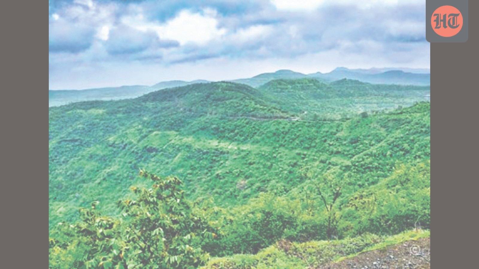 western-ghats-to-emerge-as-india’s-major-carbon-sink-by-2100:-iitm-study