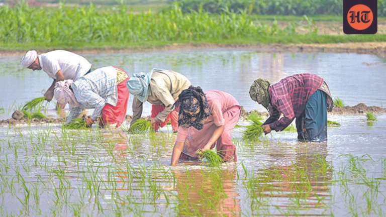 1.7mn farmers in Maha first list of beneficiaries for loan waiver