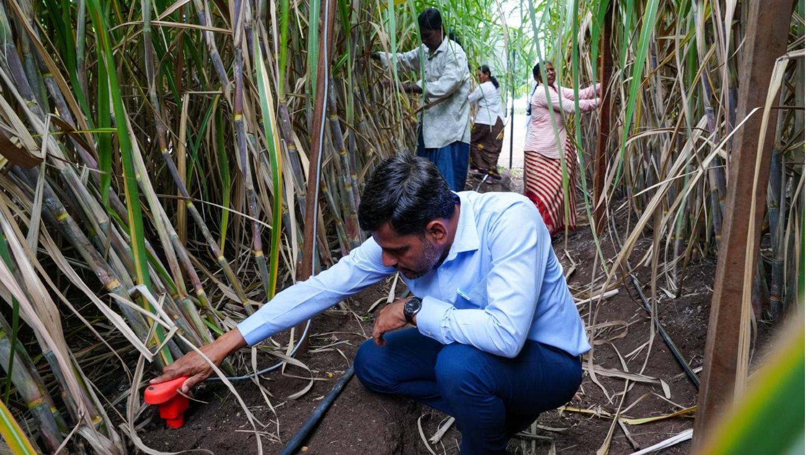 how-a-small-maharashtra-town-taught-the-world-a-lesson-in-smart-farming