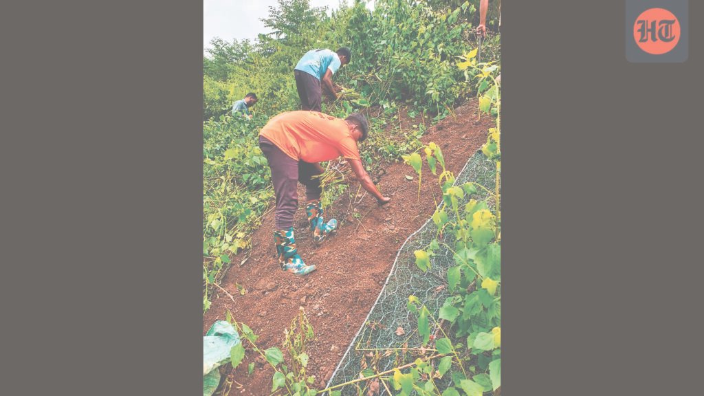 vetiver-grass-to-protect-central-railway-ghat-slopes-on-pune-mumbai-route