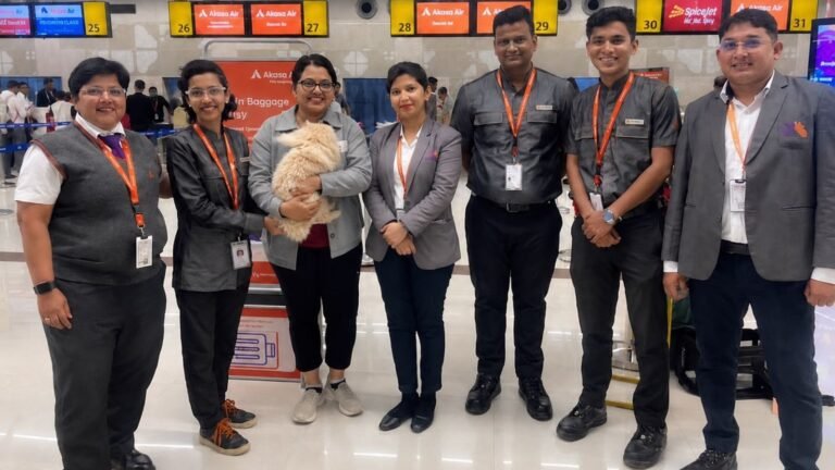 Pune’s ‘frequent flier’ cat and the art of travelling with pets