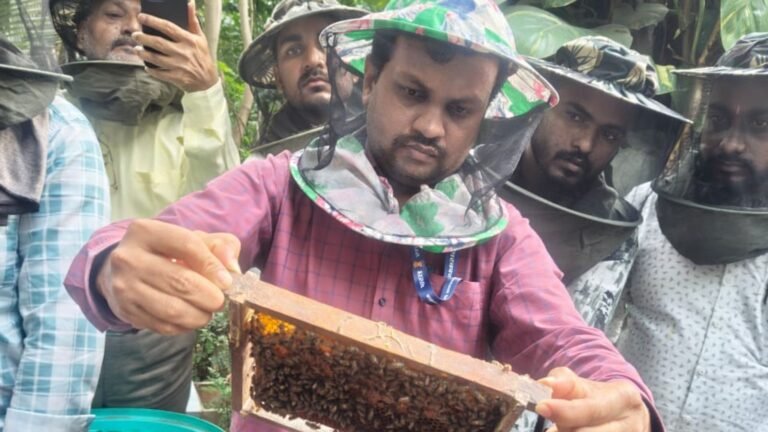 Pune’s little-known bee museum: A hive of secrets hidden in Shivajinagar