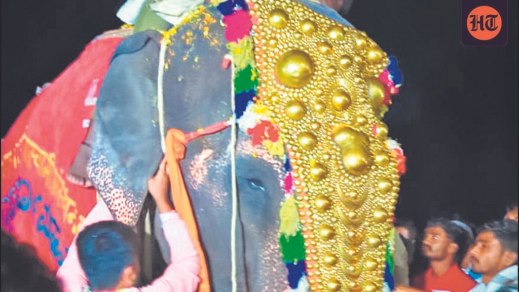 after-year-at-vantara,-madhuri-returns-home-to-kolhapur