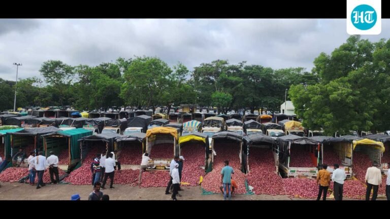 Maha orders probe into alleged irregularities in onion procurement from Nashik farmers