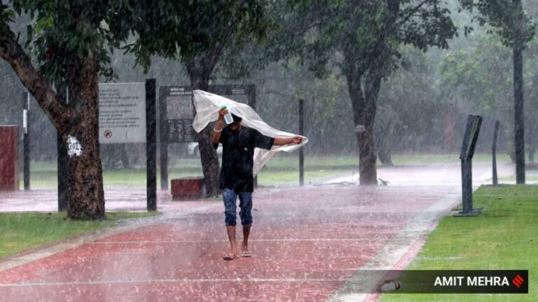 El Niño may push up food prices, but India better prepared than in 2009: Scientists