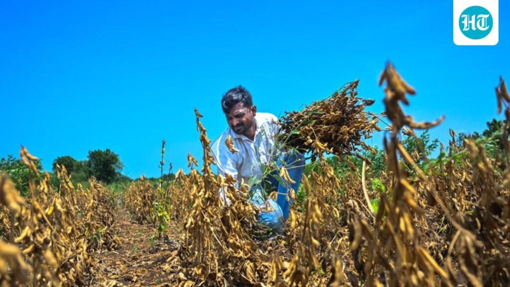 drought-hit-latur-bans-use-of-crop-residue-as-industrial-fuel