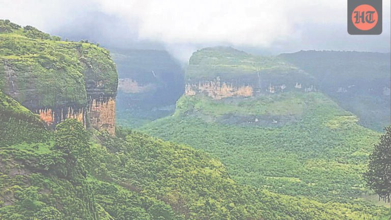 Road accidents, electrocution kill over 150 wild animals in western ghats in nine months
