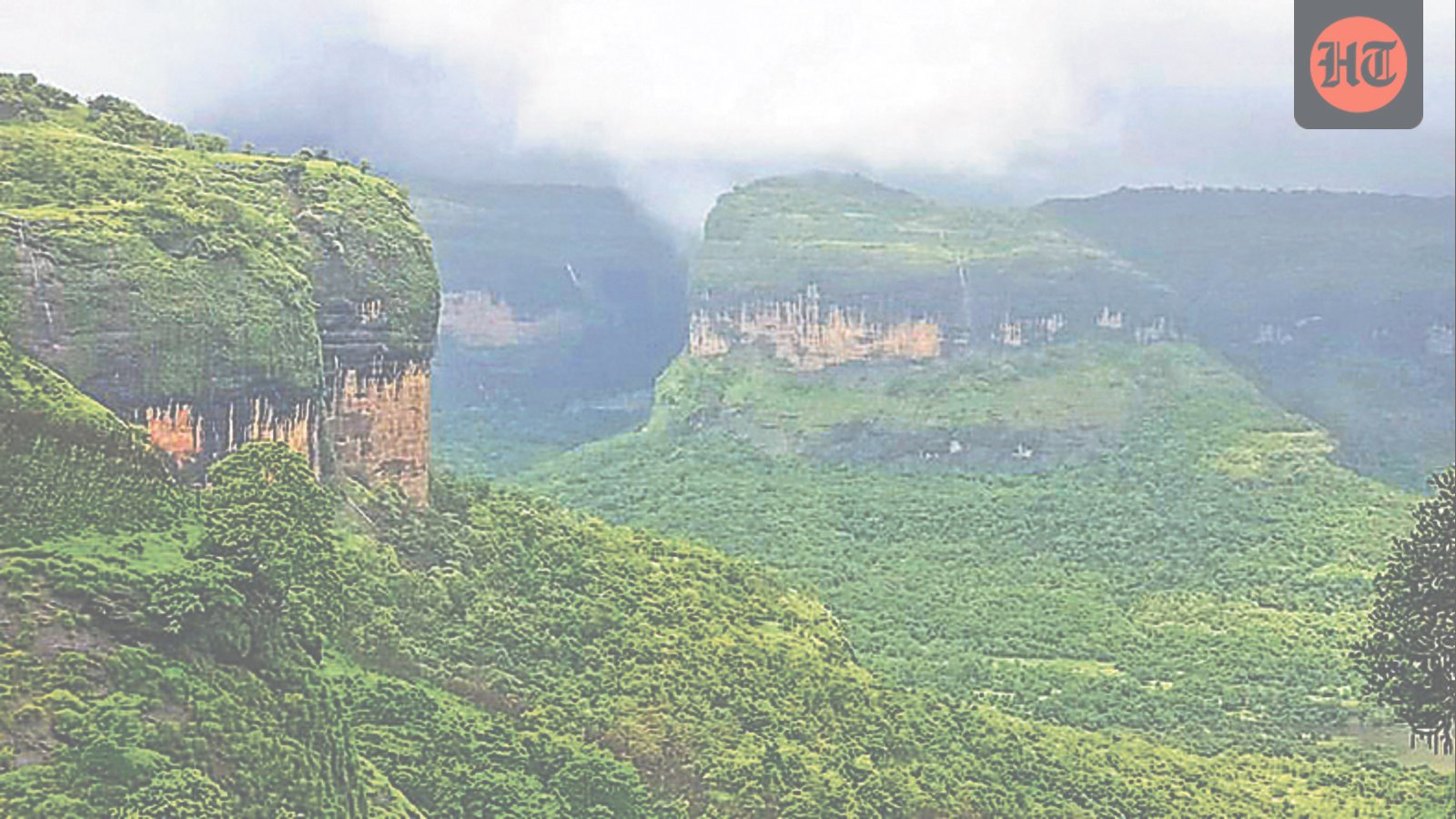 road-accidents,-electrocution-kill-over-150-wild-animals-in-western-ghats-in-nine-months